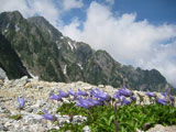 八つ峰Ⅰ峰～Ⅴ峰