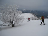 氷ノ山山スキー