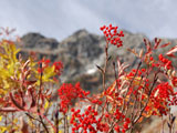 紅葉の涸沢