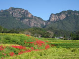 大萠山系
