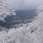 201302